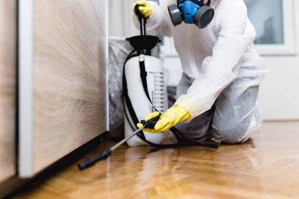 Best Emergency Pest Control  in Coeburn, VA