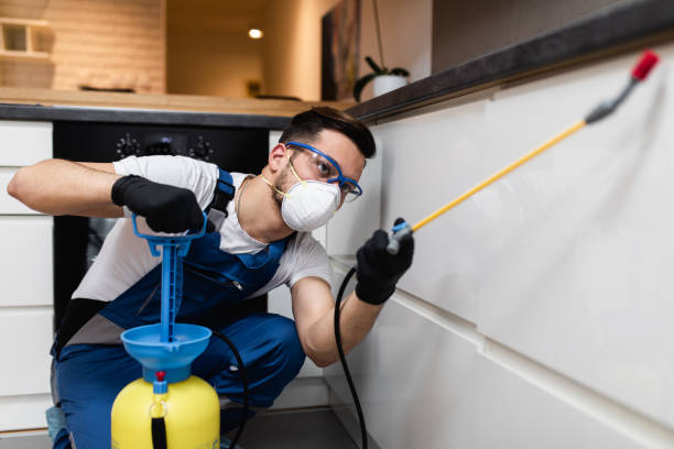 Best Affordable Pest Control Services  in Coeburn, VA